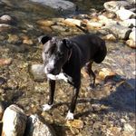 Darlene B. Hebert McCarthy - @darleneb.hebert - Instagram