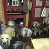 Darlene Hebert648 - @darlenehebert648 - TikTok