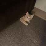 Darlene Hebert Mandeville - @madisonmandeville - Instagram
