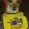 olmosbear - @darlenehebertolmo - TikTok