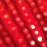 Darlene P. Hedlund - @darlenep.hedlund - Instagram