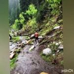 Darlene Hedrick - @canan_basarr - Instagram
