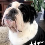 Darlene Herbert - @boston_bbd - Instagram