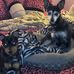 Darlene Hess - Facebook