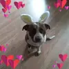 Darlene Hess - @darlene.hess6 - TikTok
