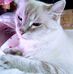 Darlene Holman - Facebook