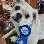 Darlene Hunter - @darlenehunter58 - Instagram