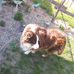 Darlene Jacobs - Facebook