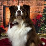 Darlene Jacobs - @darlenejacobs71 - Instagram