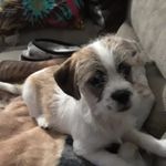 Darlene Jacobs - @darlenejacobs712 - Instagram