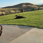 Darlene Jacobs - @darandsteve1962 - Instagram