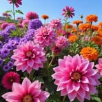 Darlene James - Facebook