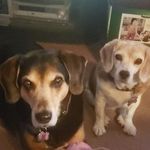 Darlene Jensen Ragsdale - @darlene.ragsdale1 - Instagram