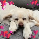 Darlene Jensen-Walker - @darlenejensenwalker - Instagram