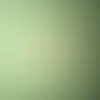 Jensen Darlene - @jensen.darlene - TikTok