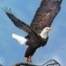 Darlene Jessen - Facebook
