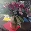 Darlene Jimenez - @darlene.jimenez10 - TikTok