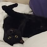 Darlene Johnston - @darlene.johnston - Instagram
