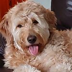 Darlene Kaiser - @darlenekaiser - Instagram