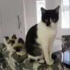 darlenelgkaiser - @darlenelgkaiser - TikTok