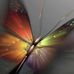 Darlene Keating - Facebook