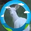 Darlene Keene - @darlene.keene - TikTok