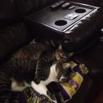 Darlene Kidder - @darlenekidder - Instagram