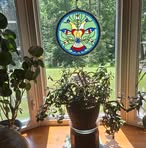 Darlene Klein - Facebook