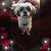 Darlene Klinger - Facebook