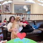 Darlene Knott - @felinesfriend - Instagram