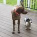 Darlene Sexton Knott - Facebook