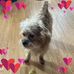 Darlene Knowles - Facebook
