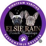Darlene Knowles - @elsie_rain_french_bulldogs - Instagram