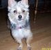 Darlene Kroll - Facebook