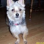 Darlene Kroll - @darlene_kroll - Instagram