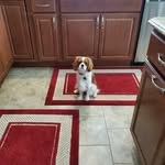 Darlene Kunkel - @darlene.kunkel.948 - Instagram
