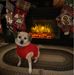 Darlene Kunkel - Facebook