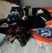 Darleen Hicks Kunz - Facebook