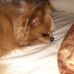 Darlene Labrecque - Facebook