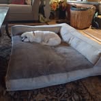 Darlene Lacey - Facebook