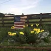 Darlene Bowman Lail - @darlenebowmanlail - TikTok