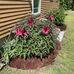 Darlene Snyder Lailer - Facebook
