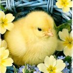 Darlene Lake - @darlenelake1967 - Instagram