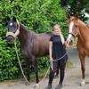 Darleen Lampe - @darleenlampe - TikTok