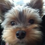 Darlene Lancaster-Hill - @darlenelancasterhill - Instagram