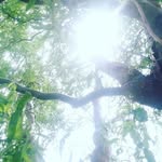 Darlene Land - @darlene.land.148 - Instagram