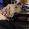 darlenelandon - @darlenelandon - TikTok
