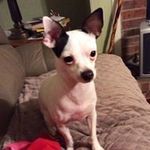 Darlene Langley - @langleydarlene - Instagram