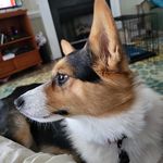 Darlene Langston - @dlangston427 - Instagram