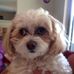 Darlene Lanham - Facebook